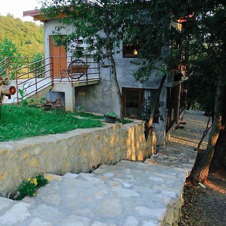 Bed and Breakfast Donkey Farm Martinici - Farma Magaraca Martinici Даниловград Экстерьер фото